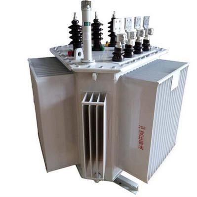 150 Kva 3 Fazlı Trafo 10KV Yağlı Tip Güç Trafosu